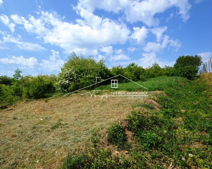 Piękny widok na rzekę San i panoramę spokojnej okolicy.