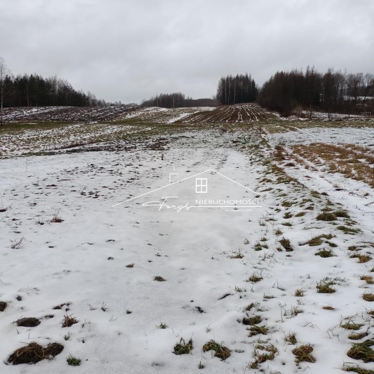 Działka budowlana 19 ar z widokiem i mediami  Ruszelczyce, gm. Krzywcza