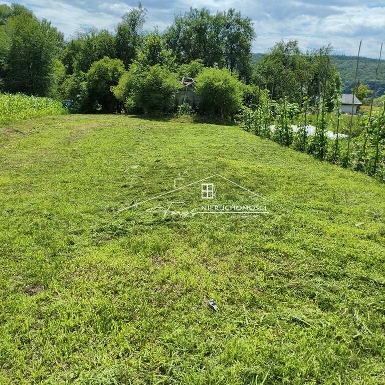 Położenie na lekkim wzniesieniu zapewnia jasność i fantastyczne widoki.