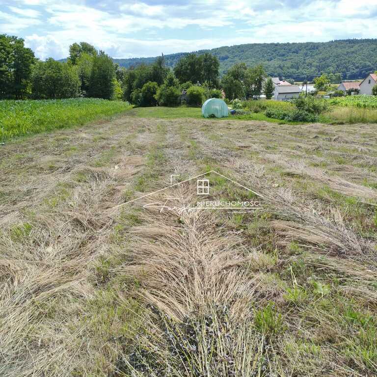Częściowe zadrzewienie nadaje działce kameralny, przytulny charakter.