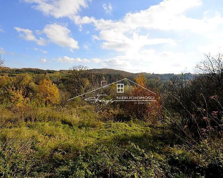 Tylko 7 km do Pruchnika – połączenie spokoju wsi z bliskością miasta.