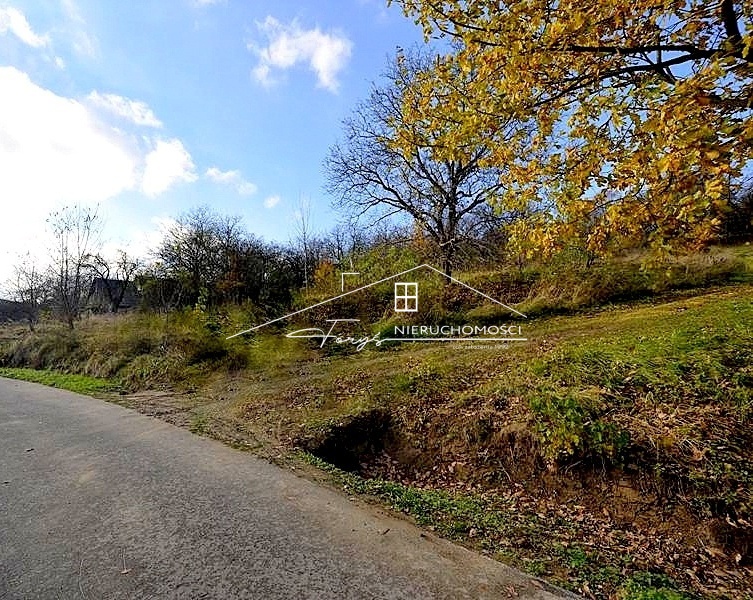 Słoneczny, południowy stok zapewnia jasne wnętrza i niezwykły komfort życia.