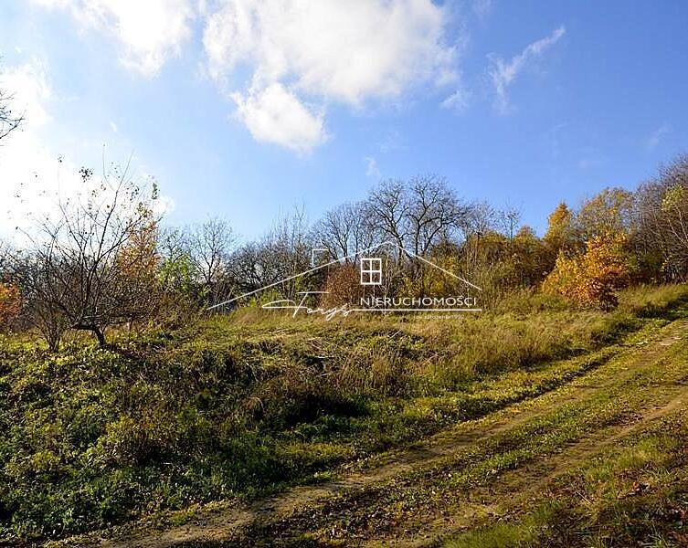 Rozciągający się widok na Pogórze Strzyżowsko-Dynowskie zachwyci każdego dnia.
