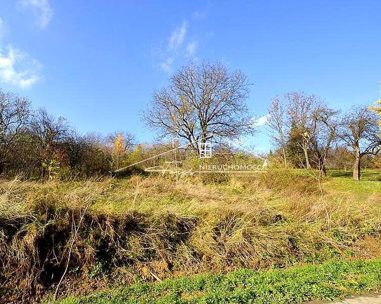 Nieregularny kształt działki stwarza duże możliwości aranżacyjne.