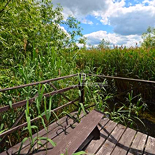 Działka 3,56 ha z zabudowaniami na sprzedaż  Hurko, gm. Medyka, teren inwestycyjny z potencjałem agroturystycznym