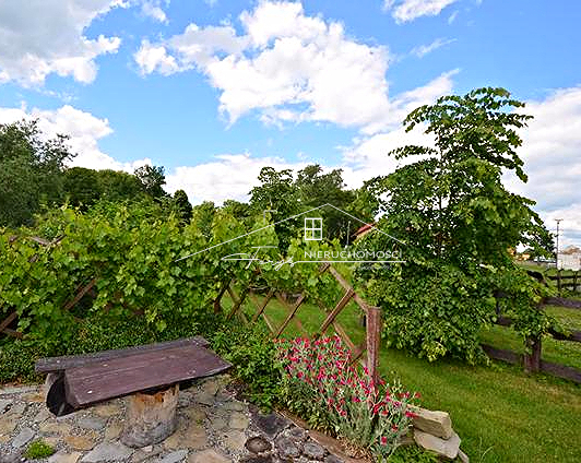 Działka 3,56 ha z zabudowaniami na sprzedaż  Hurko, gm. Medyka, teren inwestycyjny z potencjałem agroturystycznym