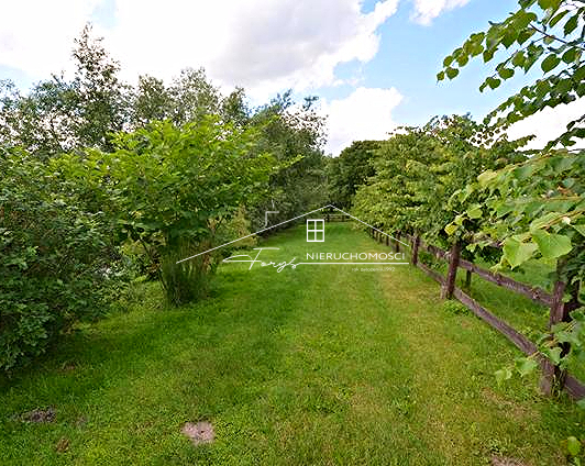 Działka 3,56 ha z zabudowaniami na sprzedaż  Hurko, gm. Medyka, teren inwestycyjny z potencjałem agroturystycznym