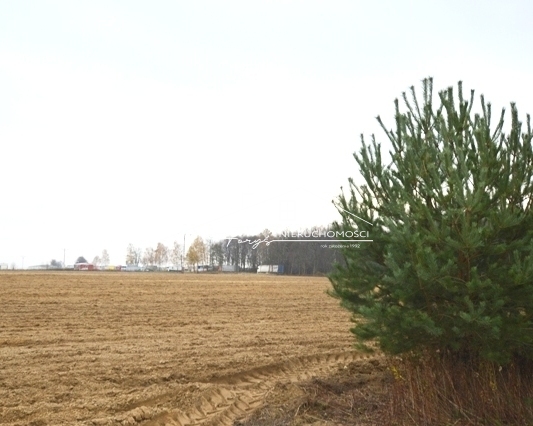 Działka inwestycyjna 25 ha przy A4, KorczowaMłyny, 3 km od granicy z Ukrainą