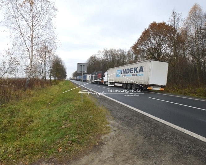 Działka z wyznaczonym zjazdem i komunikacją drogową – gotowa pod inwestycję.