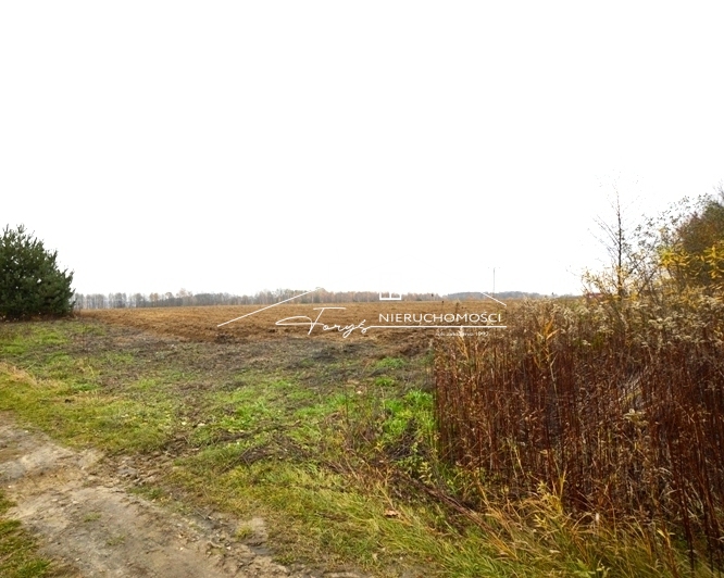 Skorzystaj z ruchu bezwizowego UE–Ukraina i rosnącego wymiany handlowej.