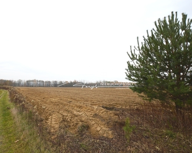 Bezpośrednie sąsiedztwo międzynarodowej infrastruktury logistycznej i magazynowej.