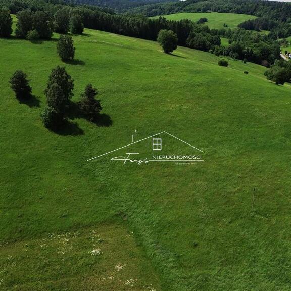96-arowa działka rolno-budowlana w Leszczawce z widokiem na lasy i pola