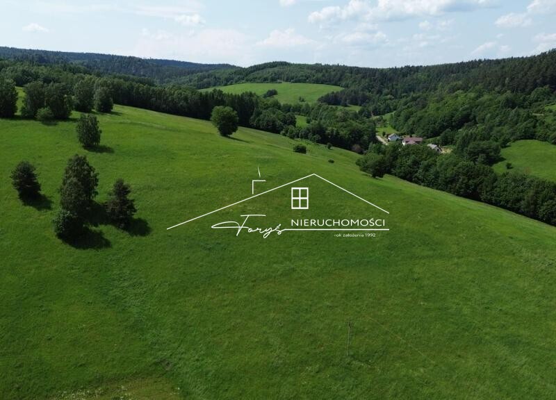 96-arowa działka rolno-budowlana w Leszczawce z widokiem na lasy i pola