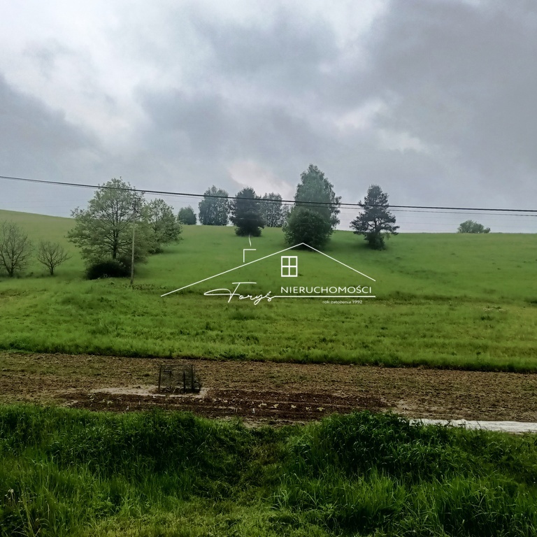96-arowa działka rolno-budowlana w Leszczawce z widokiem na lasy i pola