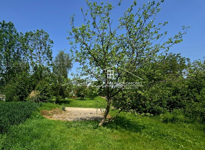 Działka 58 arów w Morawsku  widokowa, z mediami, idealna pod dom lub siedlisko