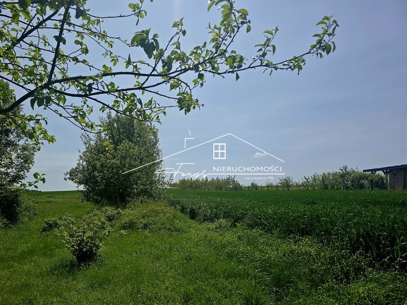 Działka 58 arów w Morawsku  widokowa, z mediami, idealna pod dom lub siedlisko