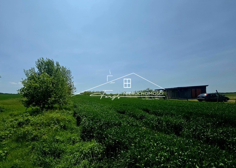 Działka 58 arów w Morawsku  widokowa, z mediami, idealna pod dom lub siedlisko