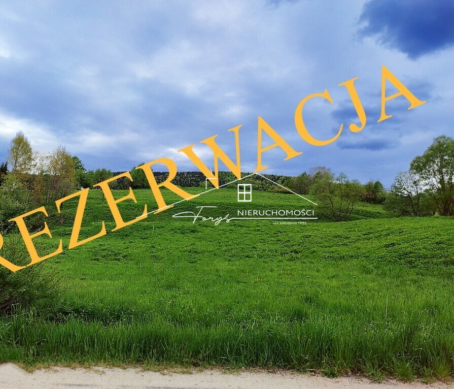 Malownicza działka 2 ha w sercu Bieszczad  Łodyna, blisko Ustrzyk Dolnych