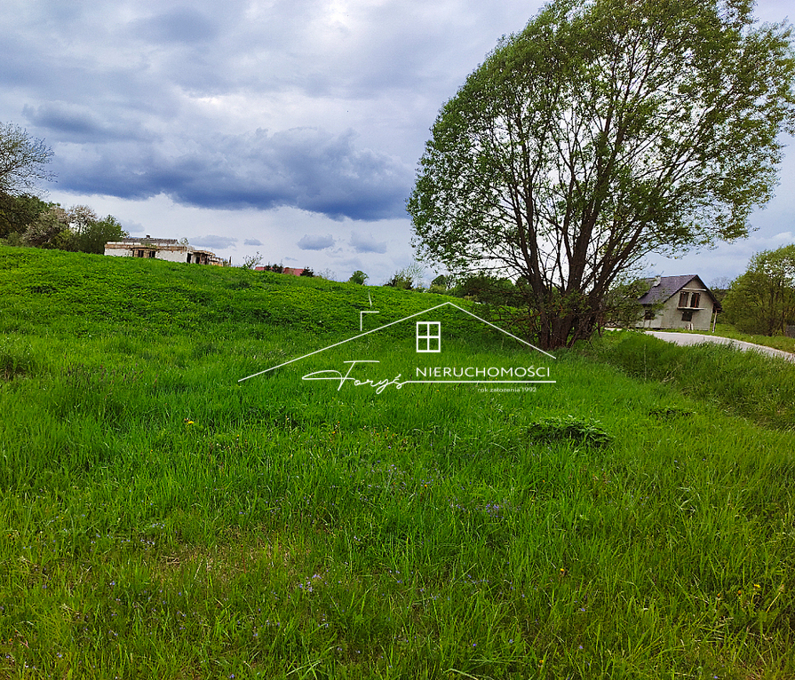 Malownicza działka 2 ha w sercu Bieszczad  Łodyna, blisko Ustrzyk Dolnych