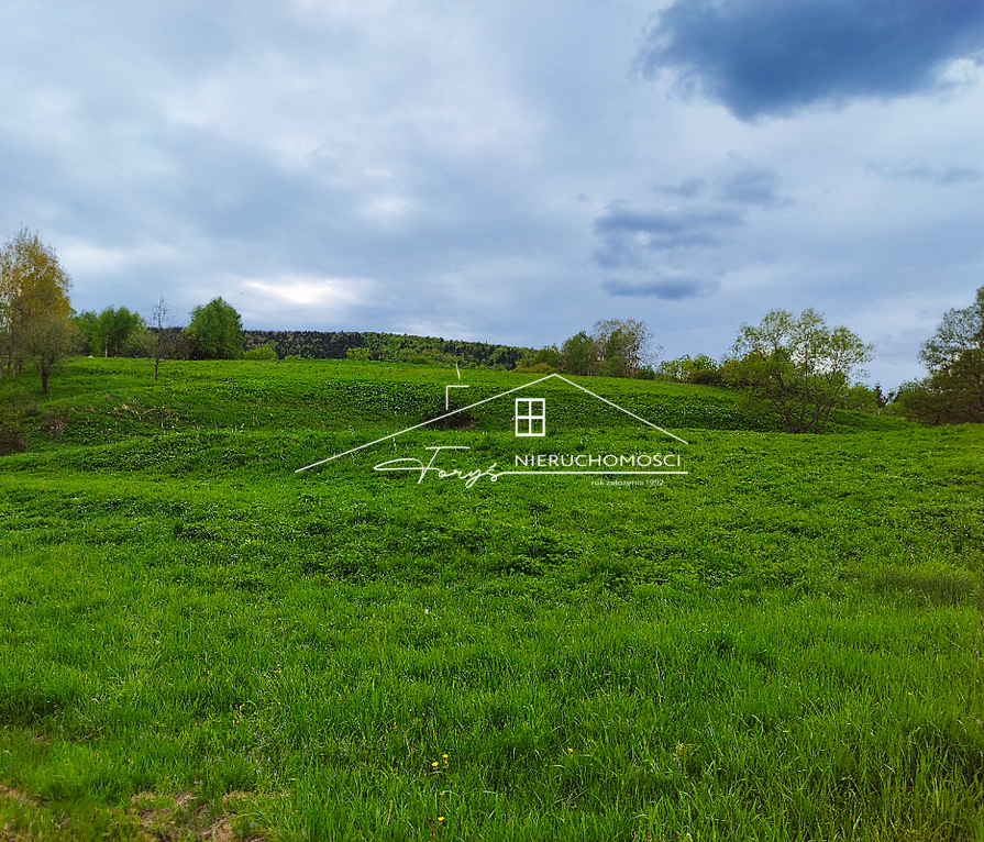 Malownicza działka 2 ha w sercu Bieszczad  Łodyna, blisko Ustrzyk Dolnych