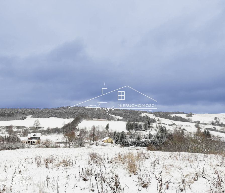 Malownicza działka 2 ha w sercu Bieszczad  Łodyna, blisko Ustrzyk Dolnych