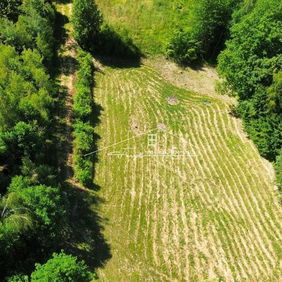 Działka rolno-budowlana z warunkami zabudowy i lasem w Dybawce, ul. Wesoła