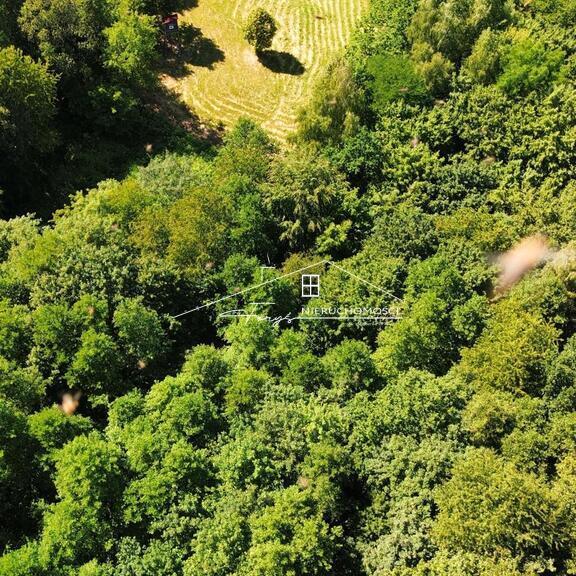 Działka rolno-budowlana z warunkami zabudowy i lasem w Dybawce, ul. Wesoła