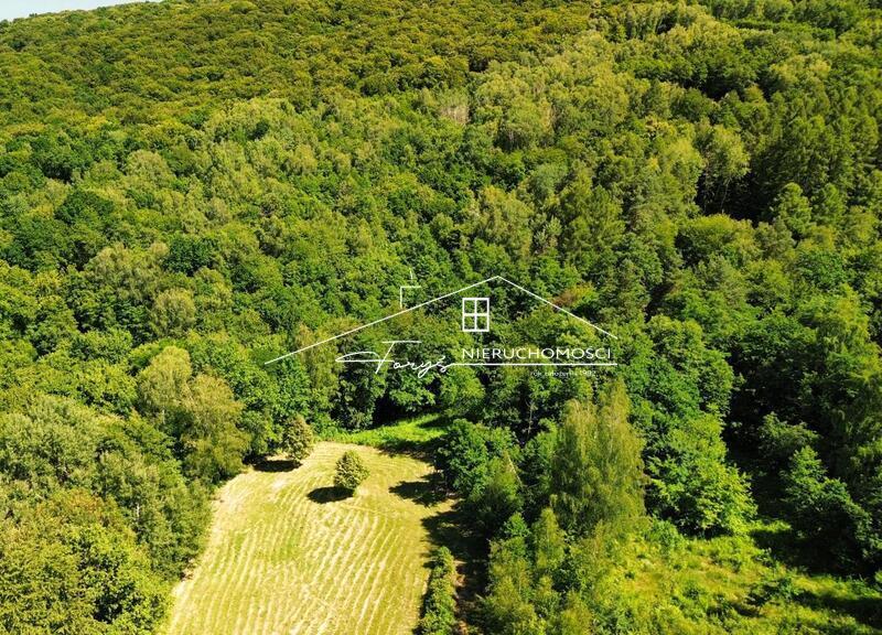 Działka rolno-budowlana z warunkami zabudowy i lasem w Dybawce, ul. Wesoła