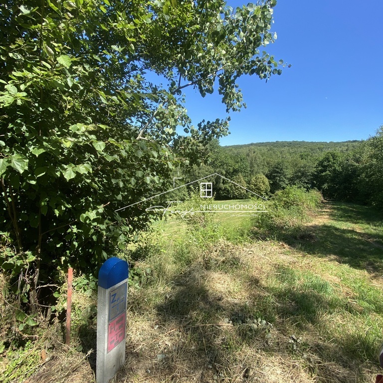 Działka rolno-budowlana z warunkami zabudowy i lasem w Dybawce, ul. Wesoła