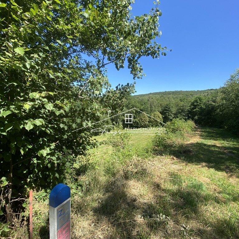 Działka rolno-budowlana z warunkami zabudowy i lasem w Dybawce, ul. Wesoła