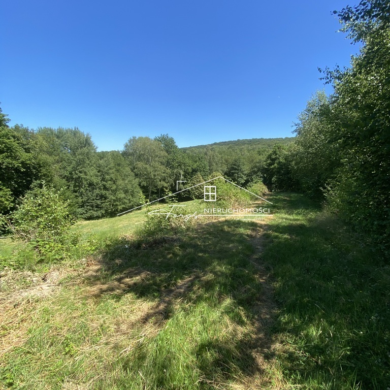 Działka rolno-budowlana z warunkami zabudowy i lasem w Dybawce, ul. Wesoła