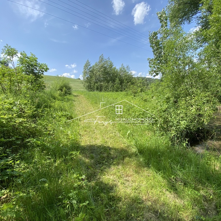 Działka rekreacyjna 30 arów pod lasem w Leszczawce  idealna na domek letniskowy