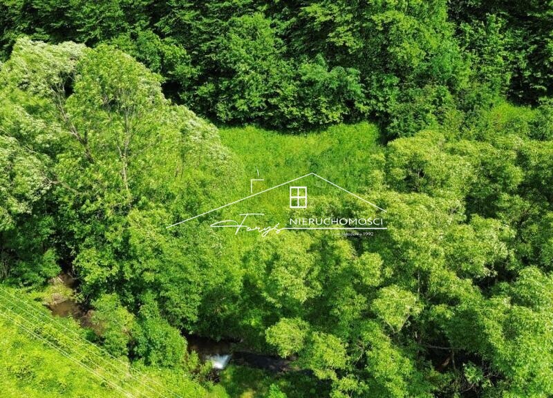 Działka rekreacyjna 30 arów pod lasem w Leszczawce  idealna na domek letniskowy