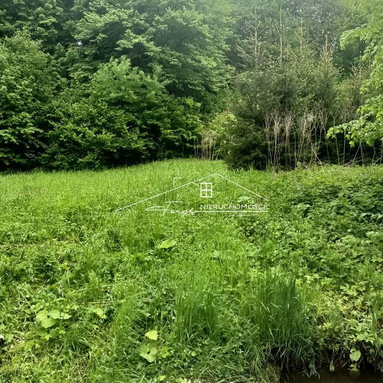 Działka rekreacyjna 30 arów pod lasem w Leszczawce  idealna na domek letniskowy