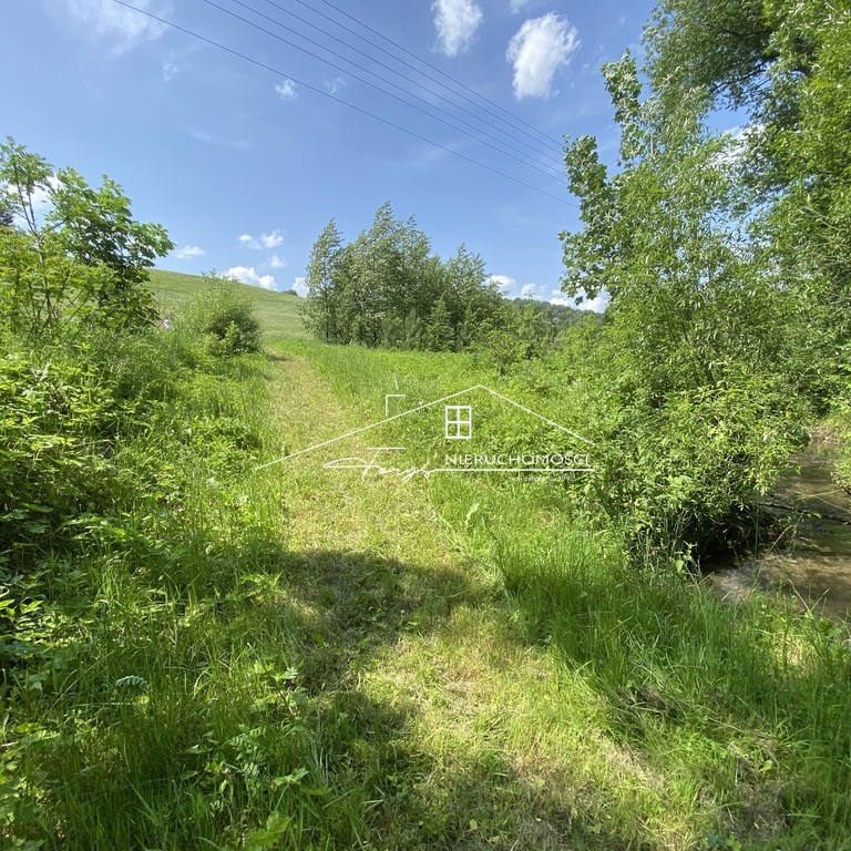 Działka rekreacyjna 30 arów pod lasem w Leszczawce  idealna na domek letniskowy