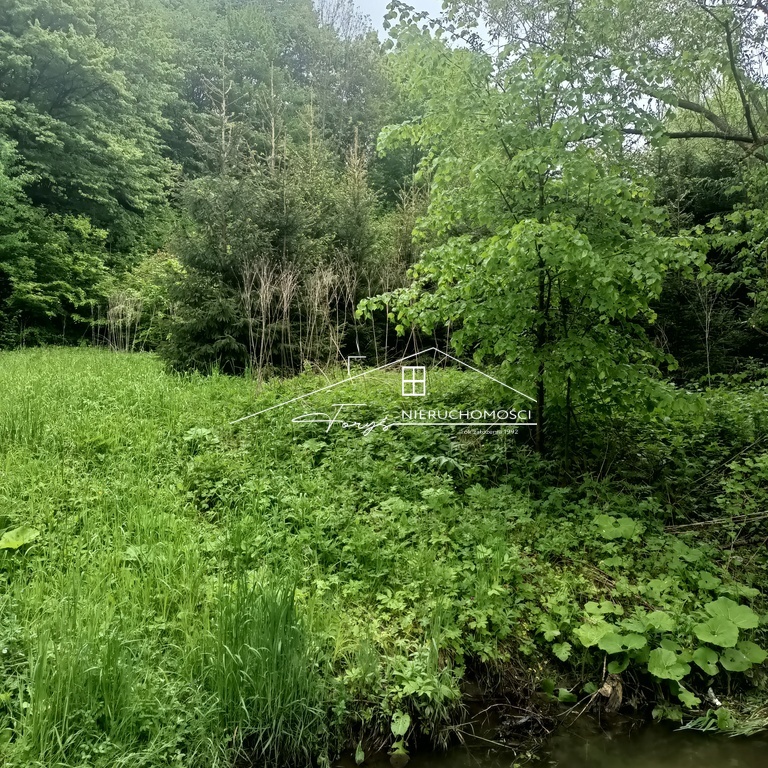Działka rekreacyjna 30 arów pod lasem w Leszczawce  idealna na domek letniskowy