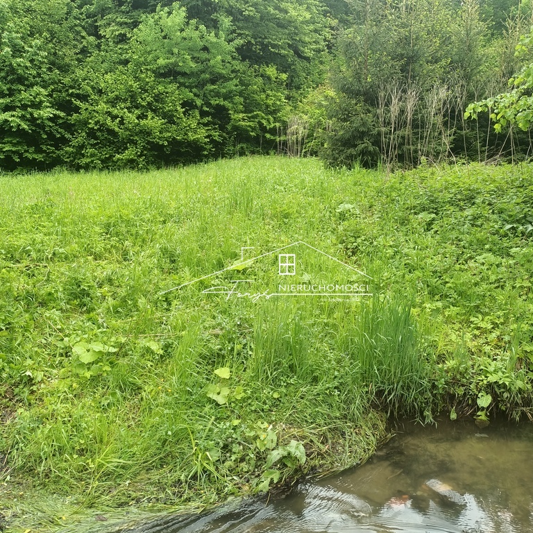 Natura, cisza i świeże powietrze – wszystko to czeka na Ciebie tutaj.