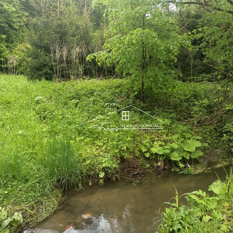Idealne miejsce na rodzinne weekendy, wypoczynek i kontakt z przyrodą.