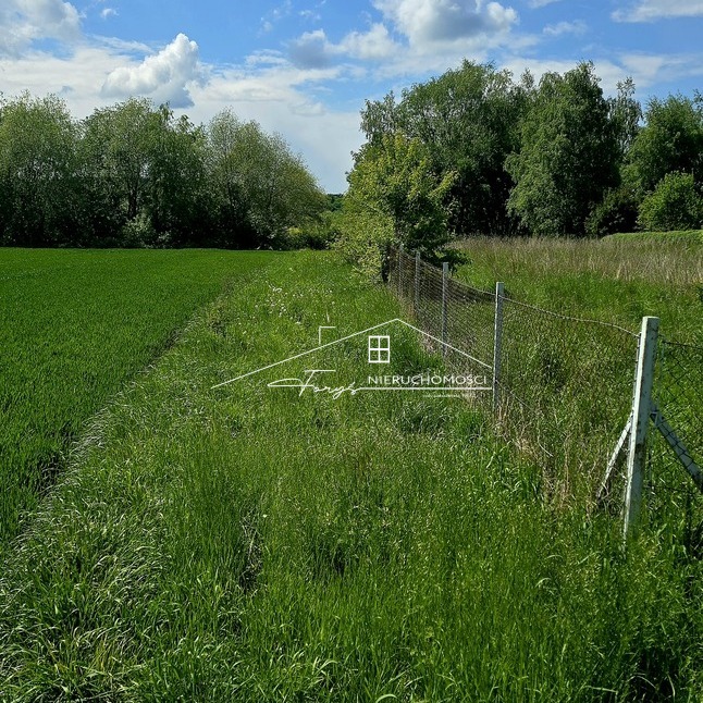 Działka rekreacyjna 14 arów nad Zalewem Ostrów  cisza, natura i bliskość wody