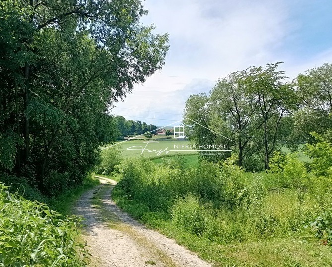 Działka budowlana 600m z pozwoleniem na budowę  Rokietnica, malownicza okolica