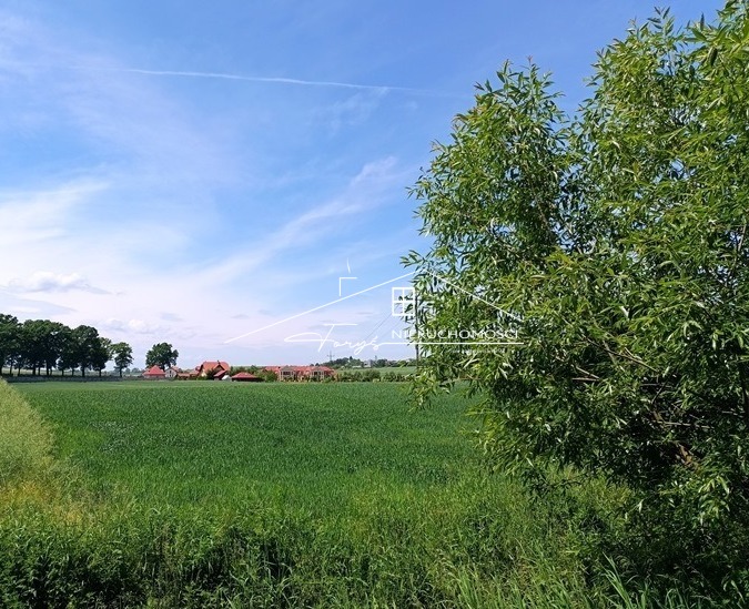 Działka budowlana 600m z pozwoleniem na budowę  Rokietnica, malownicza okolica