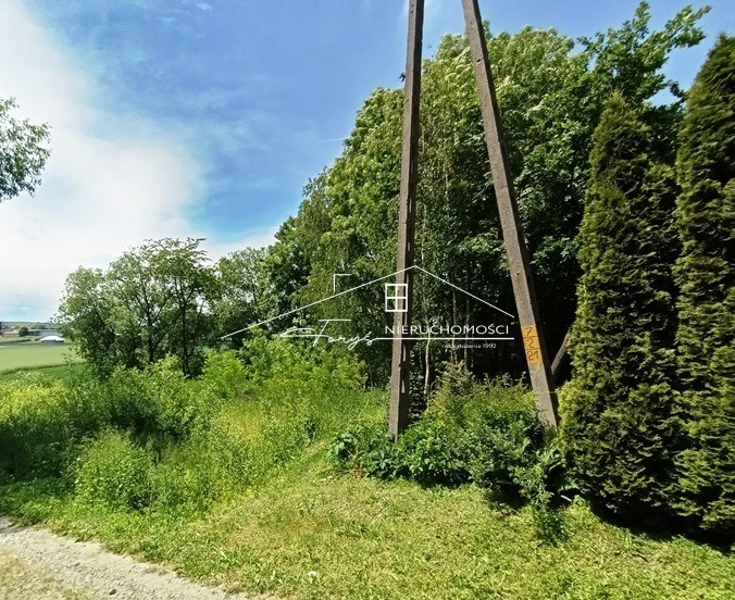 Działka budowlana 600m z pozwoleniem na budowę  Rokietnica, malownicza okolica