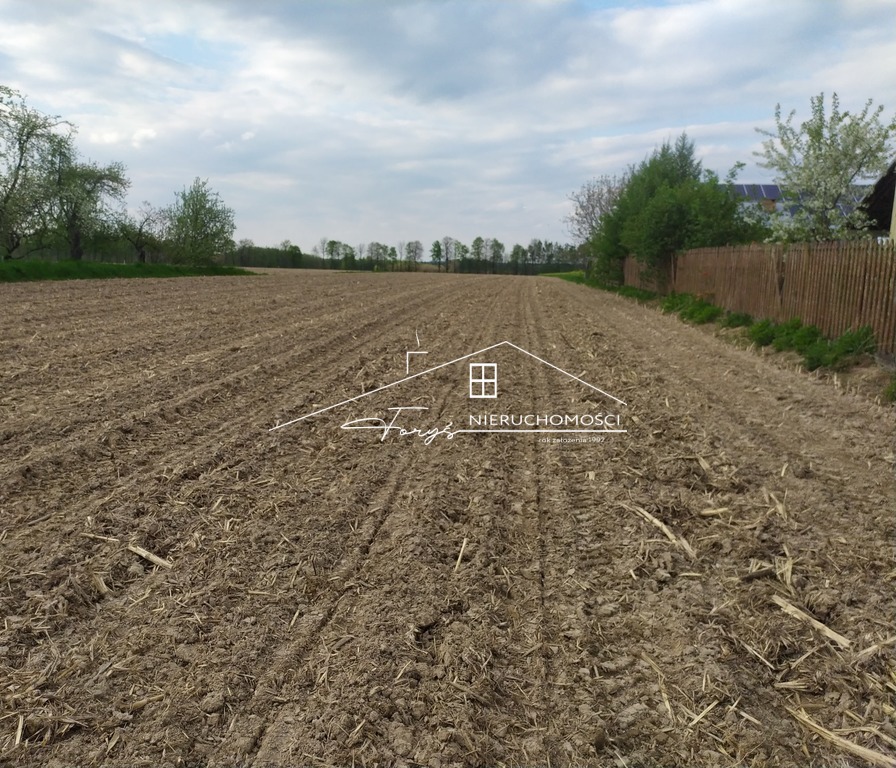 Atrakcyjna działka 96a z mediami nieopodal Roztocza  Stare Sioło