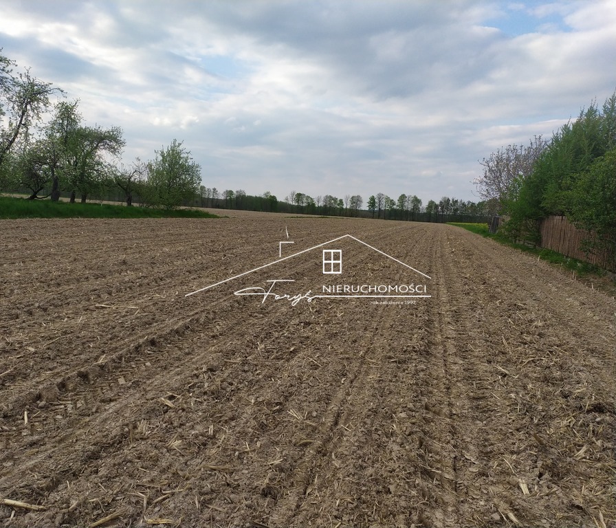 Atrakcyjna działka 96a z mediami nieopodal Roztocza  Stare Sioło