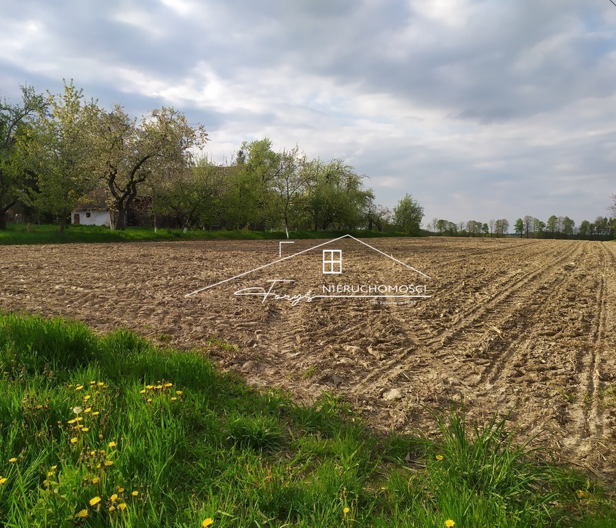 Atrakcyjna działka 96a z mediami nieopodal Roztocza  Stare Sioło
