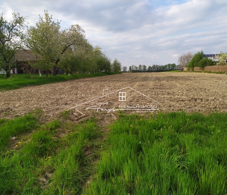 Atrakcyjna działka 96a z mediami nieopodal Roztocza  Stare Sioło