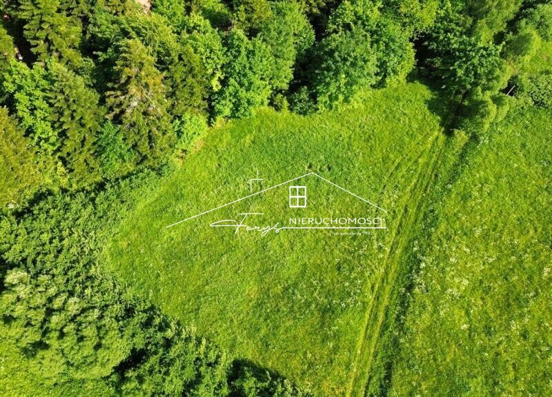 Działka 50 arów z warunkami zabudowy  Huta Brzuska, gmina Bircza