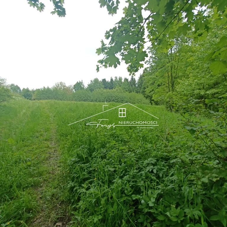 Działka 50 arów z warunkami zabudowy  Huta Brzuska, gmina Bircza