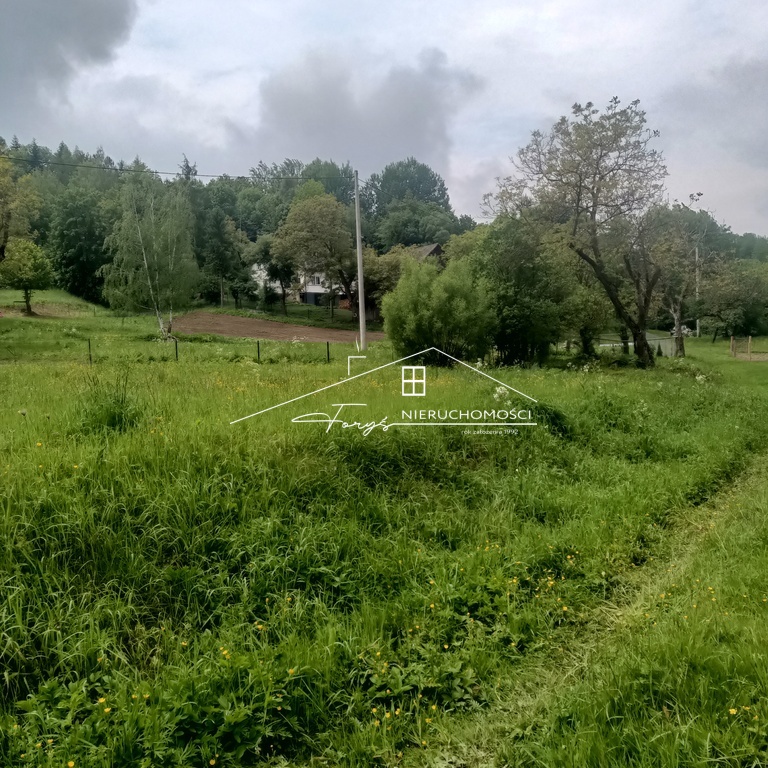 Działka 50 arów z warunkami zabudowy  Huta Brzuska, gmina Bircza