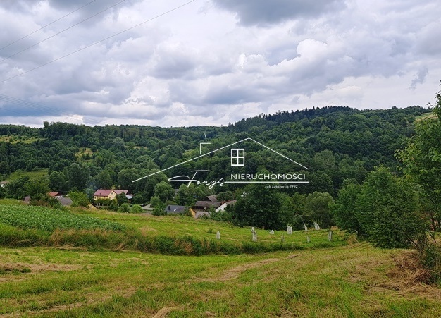 Na sprzedaż 2,96 ha gruntów z zabudowaniami w Nienadowej, gm. Dubiecko